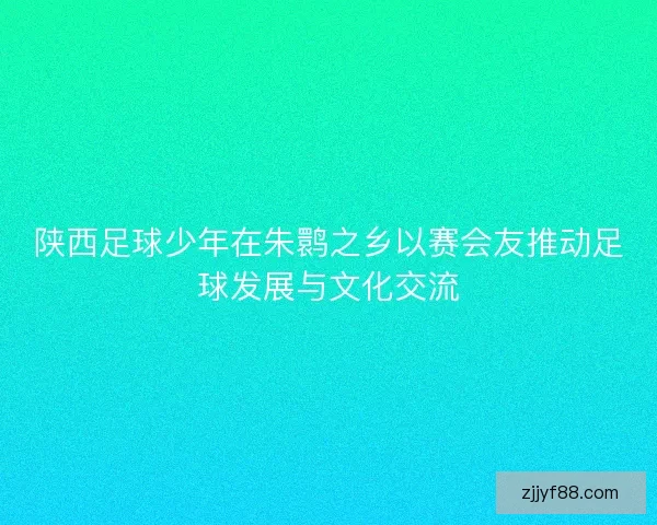 陕西足球少年在朱鹮之乡以赛会友推动足球发展与文化交流 陕西足球少年在朱鹮之乡以赛会友推动足球发展与文化交流