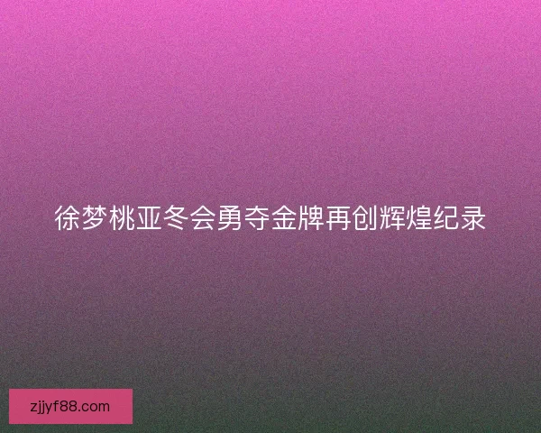 徐梦桃亚冬会勇夺金牌再创辉煌纪录