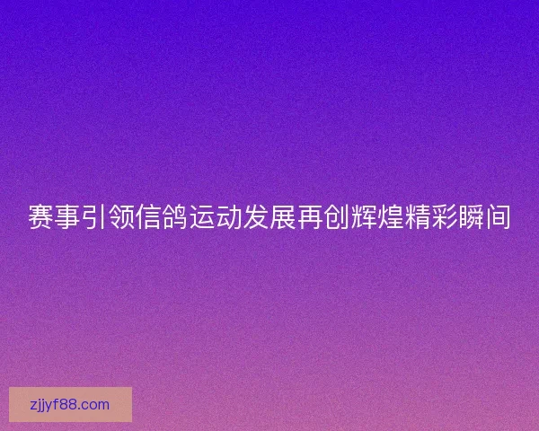 赛事引领信鸽运动发展再创辉煌精彩瞬间